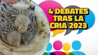 4 TEMAS A DEBATIR TRAS LA TEMPORADA DE CRIA DE CANARIOS