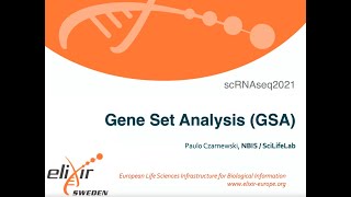 08 Gene Set Analysis — 01 Introduction