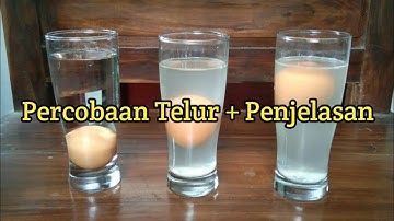 Eksperimen sains: telur mengapung, melayang dan tenggelam | Percobaan telur