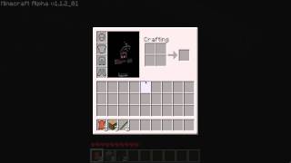 Minecraft: Spawn Fail ;( Net Worth