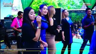 CAMELIA PELAN TAPI PASTI-GERIMIS MELANDA HATI-ALL ARTIS-HAPPY WEDDING JEFRI & ARIANI-ADR AUDIO-