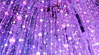 Creative Commons License: No Copyright - Use This Video Free