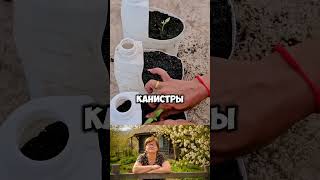 Эта технология спасёт любого дачника #дача #сад #shorts #лайфхаки