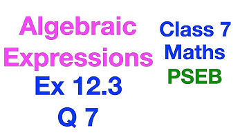 Q 7 | Ex 12.3 | Class 7 | Algebraic Expressions | Chapter 12 | PSEB | Maths