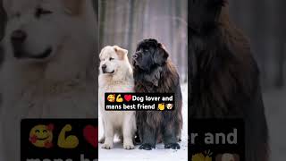 #animallovers #respect #animals #mansbestfriend 🐶🔥💪🇵🇭