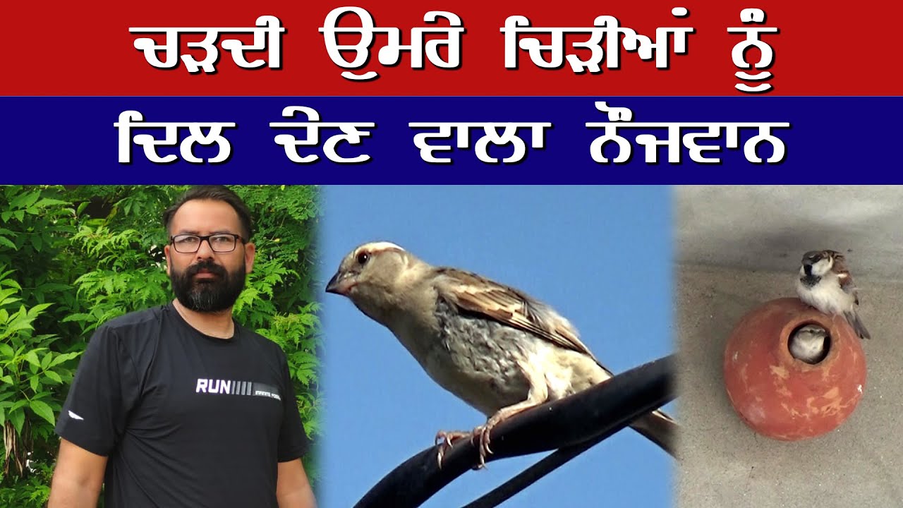 ਪੰਛੀਆਂ  ਨੂੰ ਗਰਮੀ ਚ ਮਰਦਿਆਂ ਦੇਖਿਆ ਤਾਂ ਦਿਲ ਪਸੀਜ ਗਿਆ