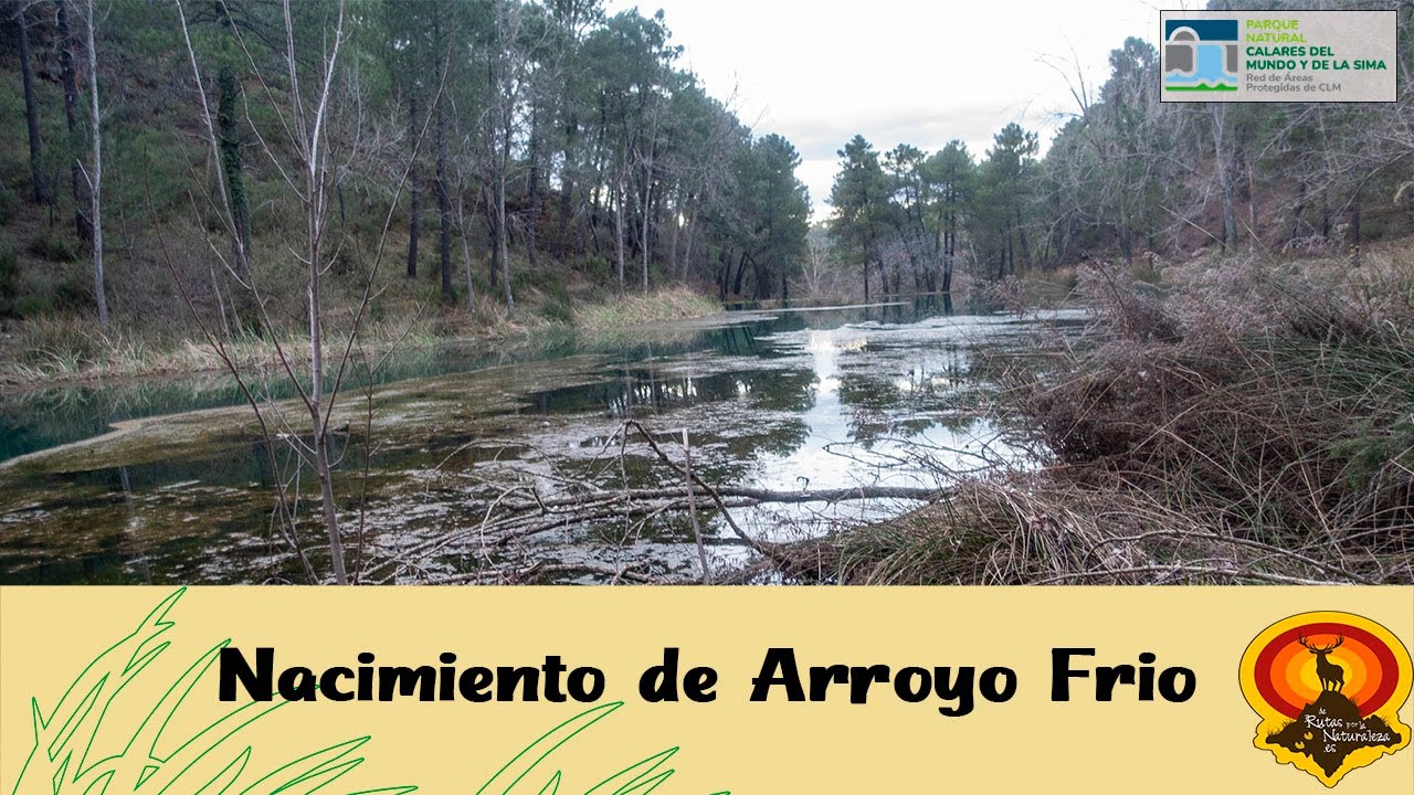 Nacimiento de arroyo Frio (P. N. de Los Calares del Mundo y de la Sima) | De rutas por la naturaleza
