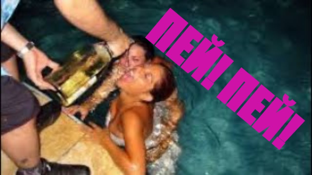 свежак видео