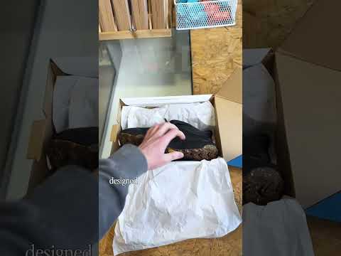 Hoka Project Transport Shoes #sneakers #fashion #hoka #running