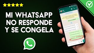 Solución: 'WhatsApp no Responde y se Congela al Abrir Audios, Fotos o Vídeos' en Android e iPhone