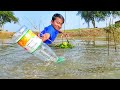 Amazing Boy Catch Fish With Plastic Bottle Fish Trap | Hook Fishing By Plastic Bottle