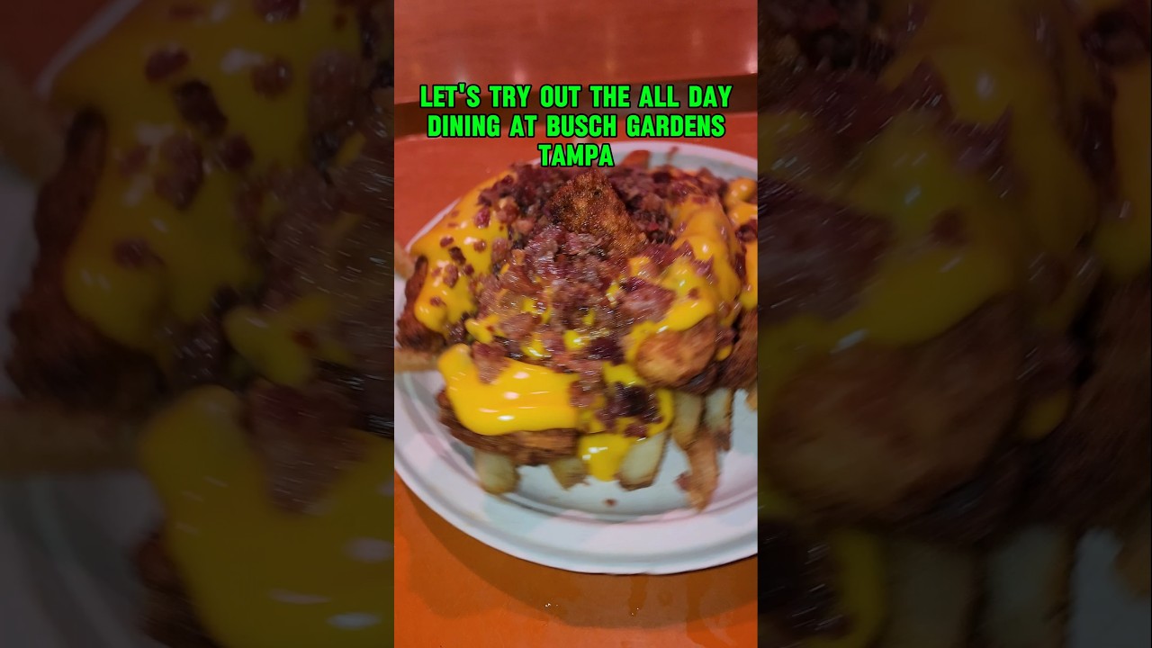 Is the ALL DAY DINING worth it at Busch Gardens Tampa? Lets find out