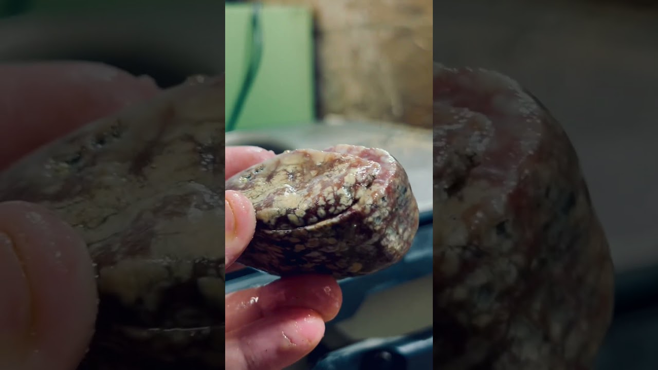 What’s in this rock? Ep. 3 