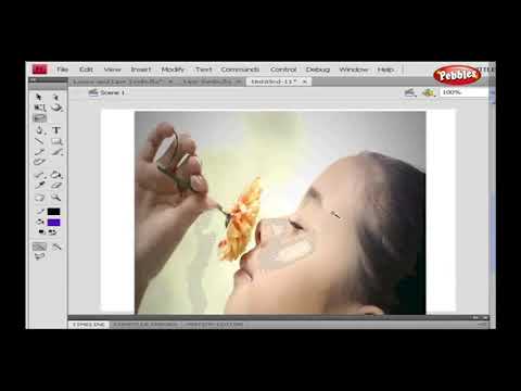 Lasso & Line Tools  || Flash CS4  Presentation || Tutorial For Beginners