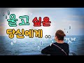 울고 싶은 당신에게 / 문의전화 01040021513 #점집추천
