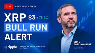 XRP BULL RUN ALERT Brad Garlinghouse Message Crypto News XRP Price Prediction