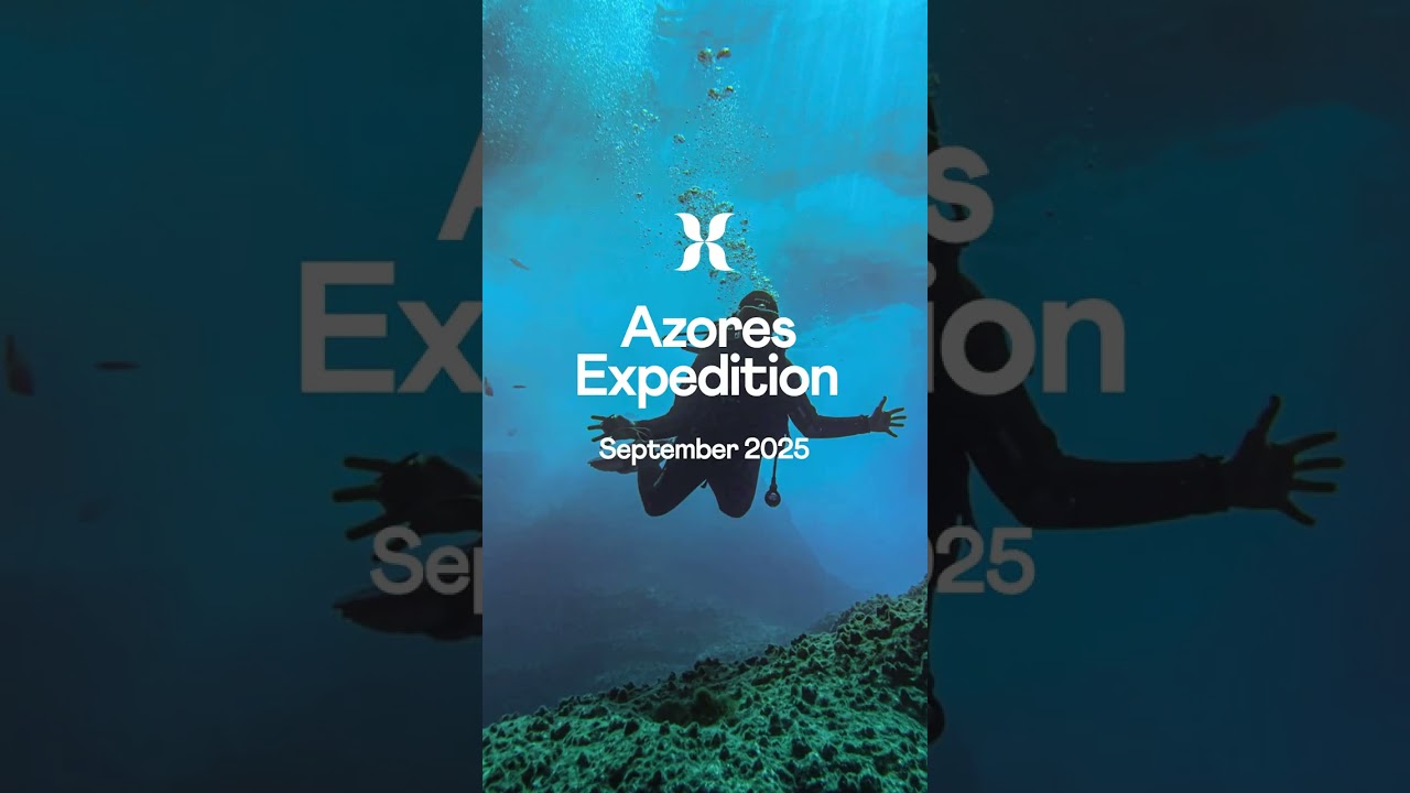 Join the Azores Adventures: Nixi Aquatics x Book With Buddy