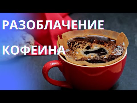 Сколько можно пить кофе? Как пить кофе и чай без вреда для сна