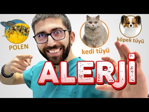 Video: Alerjisi Olanlar İçin En İyi 10 Köpek Irkları