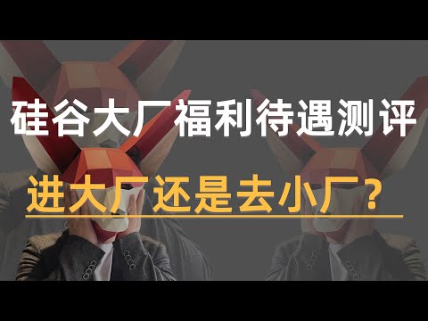 硅谷大厂福利待遇测评 | 2023进大厂还是去小厂？ 资深工程师指导求职