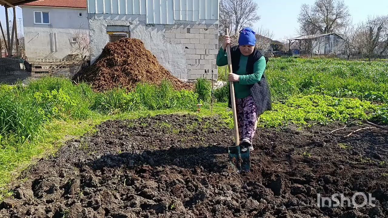 BAĞ BAHÇE SEVENLER TOPRAK HASRETİ ÇEKENLER EKRAN BAŞINA DOYA DOYA KÖY HAYATI #keşfet #köyhayatı