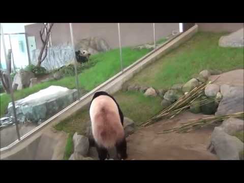 201406陽浜＆優浜竹食べる