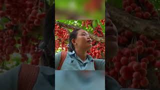 My Life, My Struggle, My Story 💪😢 | Real Country Life Vlog