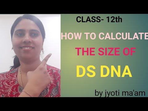 HOW TO CALCULATE THE SIZE OF DOUBLE STRANDED DNA - YouTube