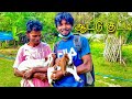 ராமப்புவின் ஆட்டு குட்டி / Jaffna village lifestyle / Jaffna Suthan