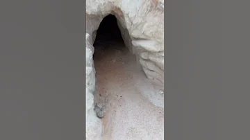 جن يضحك ههههههه ههههههه 
