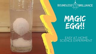 Celebrity Magic Egg!! Easy Science Experiment Wealth