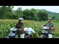A busy day: Harvesting and selling agricultural products brings high profits