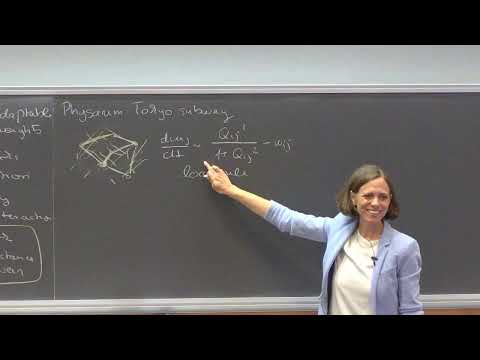 Learning with the flow | Karen Alim (TU Munich)