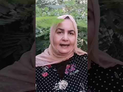 القوارير في السنه واللغه أ إيمان الكافوري