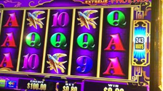 LIVE PLAY on Extreme Phoenix Slot Machine - Bonus or Bankrupt?!?!