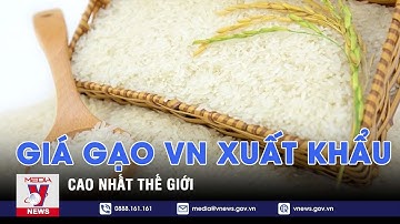 Giá gạo Việt Nam xuất khẩu cao nhất thế giới - VNEWS