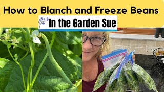 How to freeze string beans easily