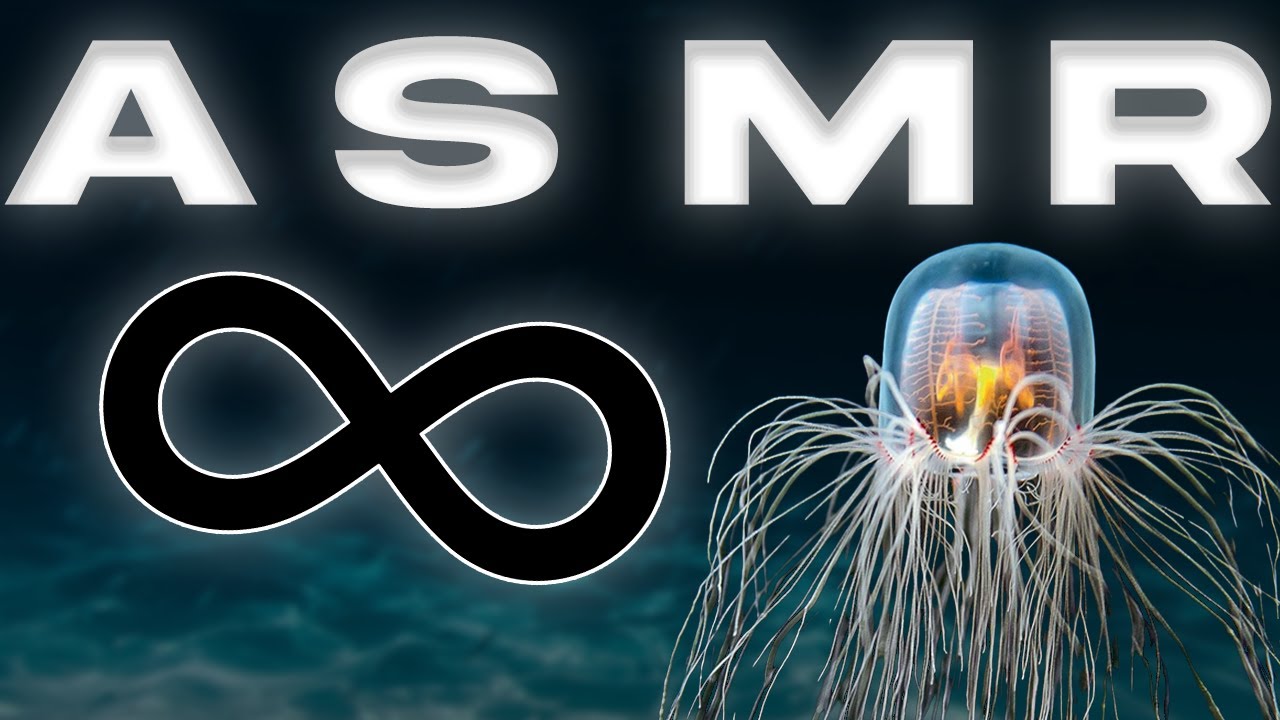 ASMR culture générale | La Méduse Immortelle