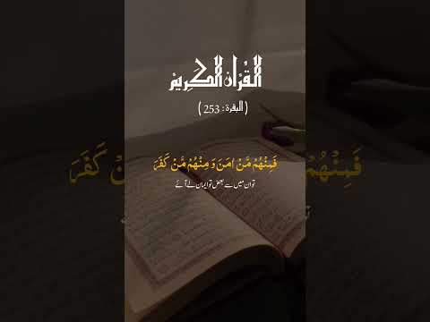 Surah Al-Baqarah 2  Verses 253-254 Translation in Urdu