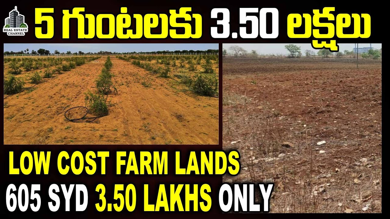 Farm Lands Sale Narayankhed Low Cost Agriculture Farm Lands