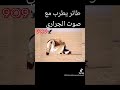 حمر العز والـــــــراث الأصيل حتى الطيور تطرب معه 