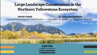 Large Landscape Connectivity in the Northern Yellowstone Ecosystem screenshot 2