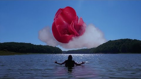 FUNGI - EXODE (OFFICIAL VIDEO)