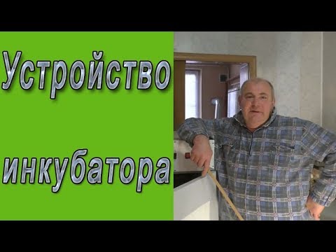 Видео: Каков принцип работы инкубатора BOD?