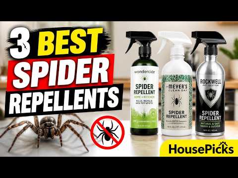 3 Best Spider Repellents for 2026 | Keep Spiders Out of Your Home
