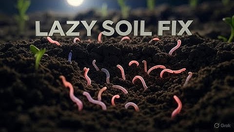 A Genius but Lazy Way to Revive Dead Soil