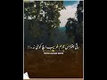 #waqas #shah #funny #music #poetry #lifeisbutadream