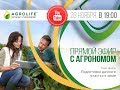 Как приготовить дачный участок к зиме // Прямой эфир Agrolife.UA