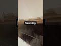 hm Ham tile pathar walon Ko bhi viral kar dijiye
