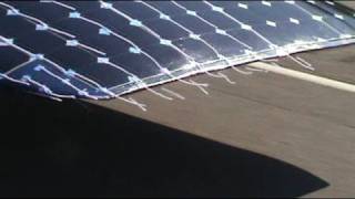 Tuft Testing 5